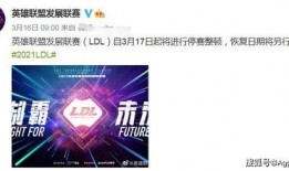 by9最新爆料,揭秘娱乐圈最新动态与幕后故事