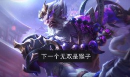 王者荣耀最新的无双皮肤爆料,华丽变身，英雄再塑传奇风采